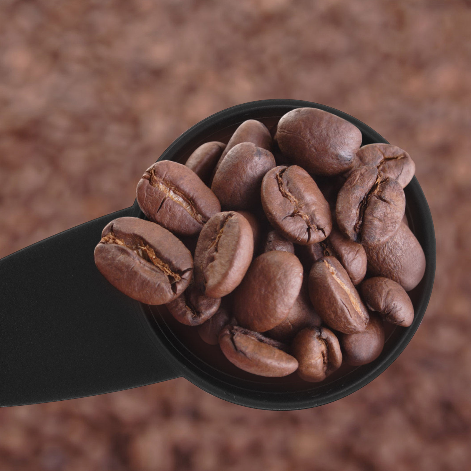 Set di 5 Cucchiai Dosatori con - Coffee Tea Spices recensione e prezzo